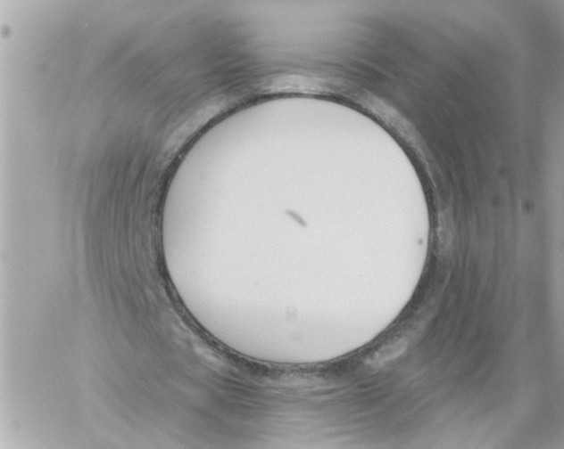 X0000059040529200511041639