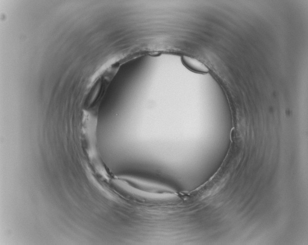 X0000059040530200511041639