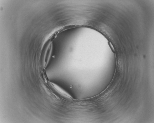 X0000059040532200511041639