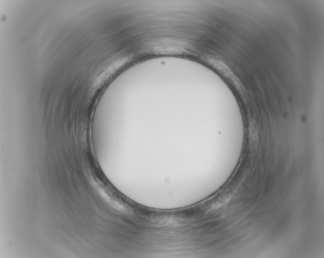 X0000059040533200511041639