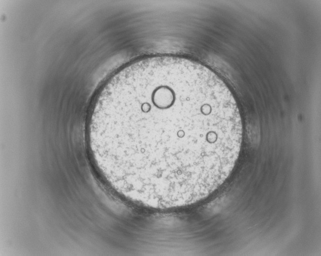 X0000059040534200511041639