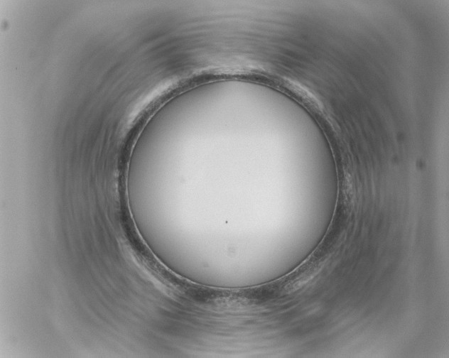 X0000059040535200511041639