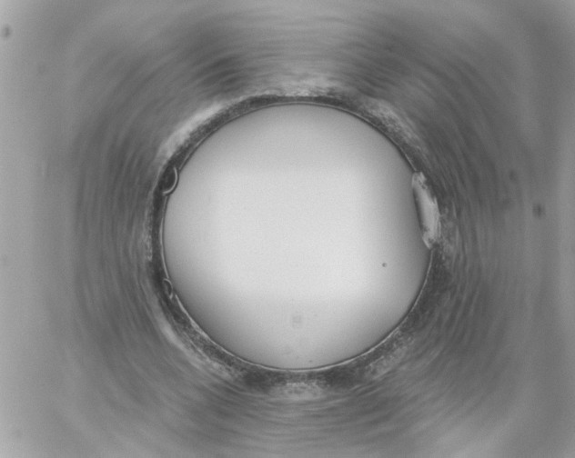 X0000059040536200511041639