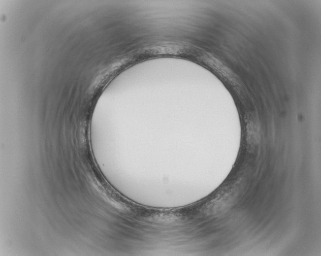 X0000059040537200511041639