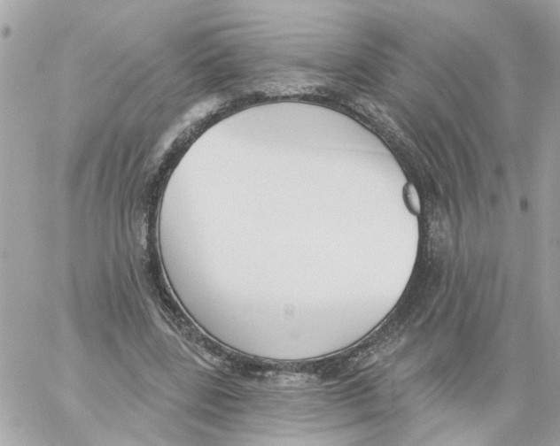 X0000059040539200511041639