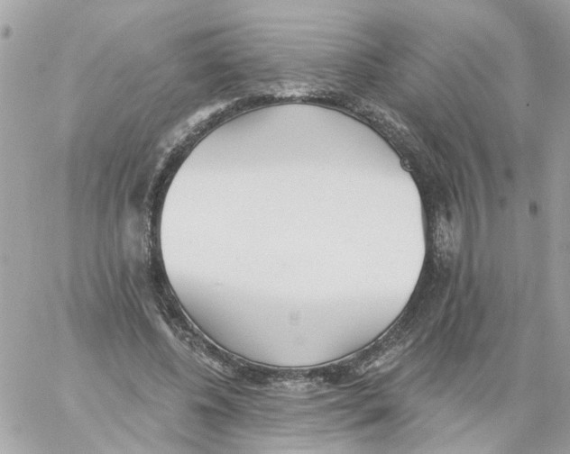 X0000059040540200511041639