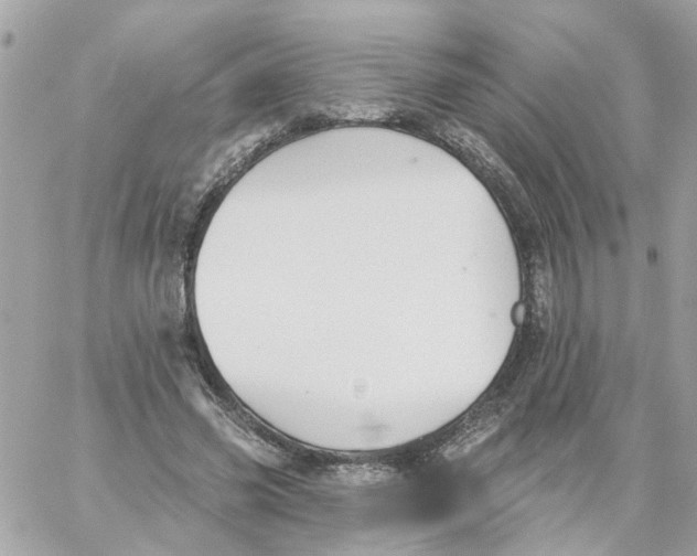 X0000059040541200511041639