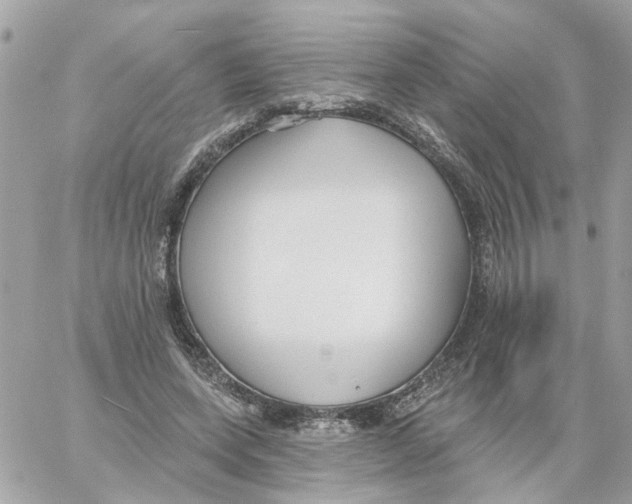 X0000059040543200511041639