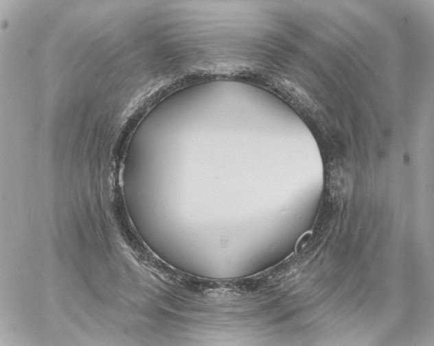 X0000059040544200511041639