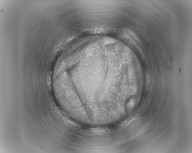 X0000059040545200511041639