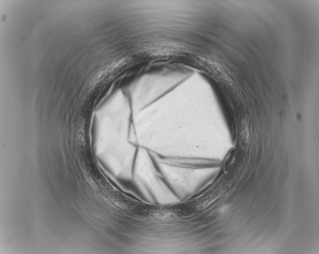 X0000059040547200511041639