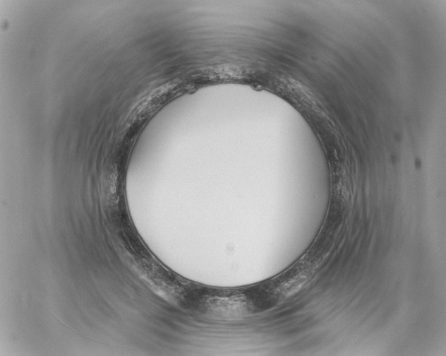 X0000059040548200511041639