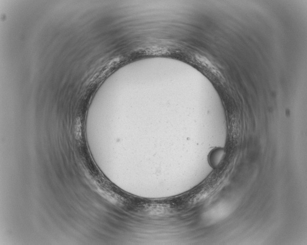 X0000059040549200511041639