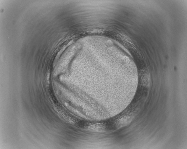 X0000059040550200511041639