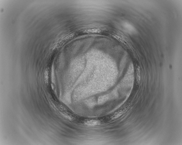 X0000059040551200511041639