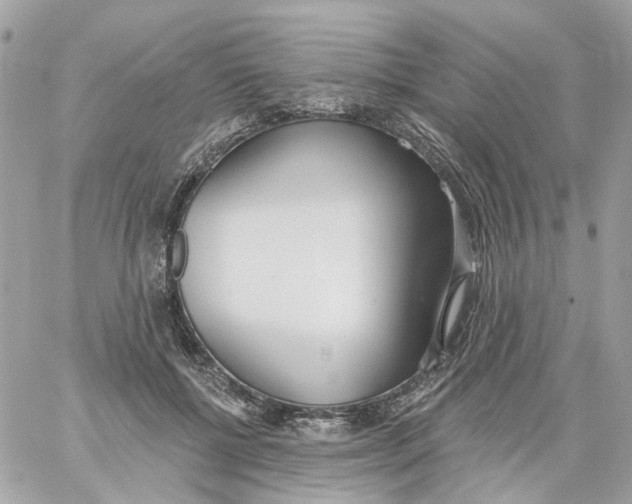 X0000059040552200511041639