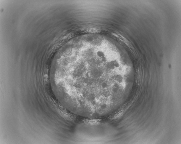 X0000059040553200511041639