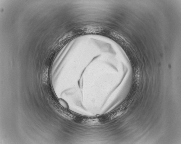 X0000059040554200511041639