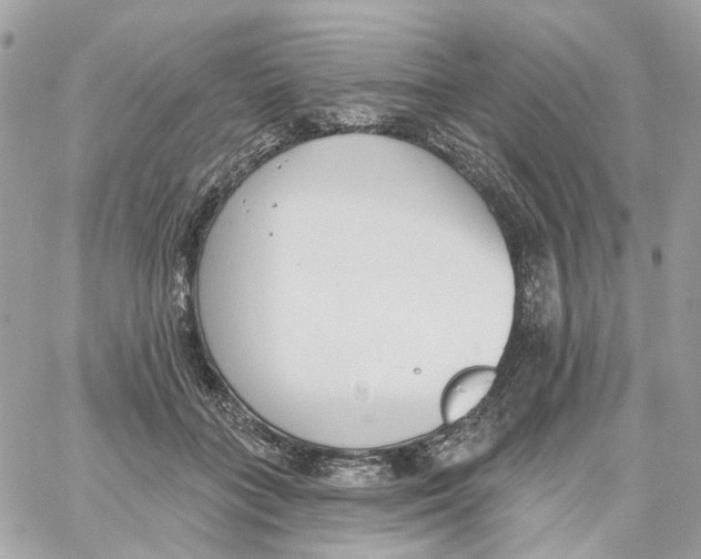 X0000059040555200511041639