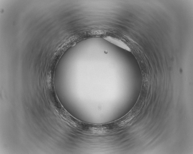 X0000059040556200511041639