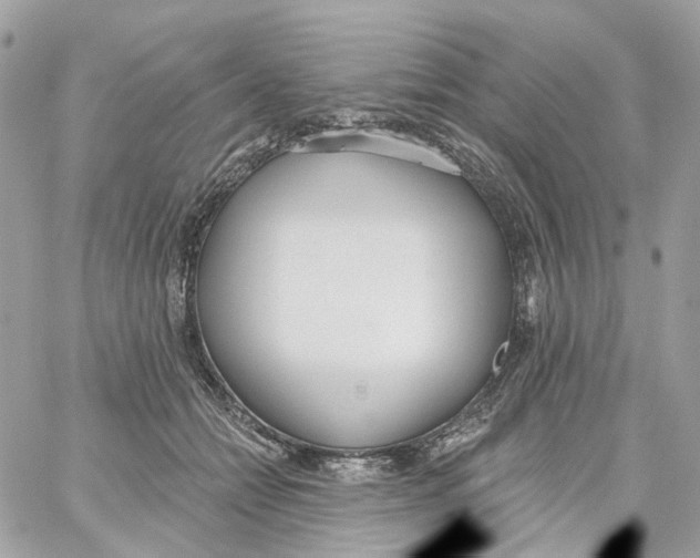 X0000059040558200511041639