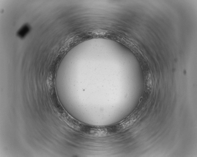 X0000059040559200511041639