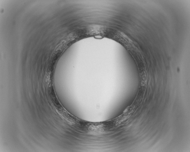 X0000059040560200511041639