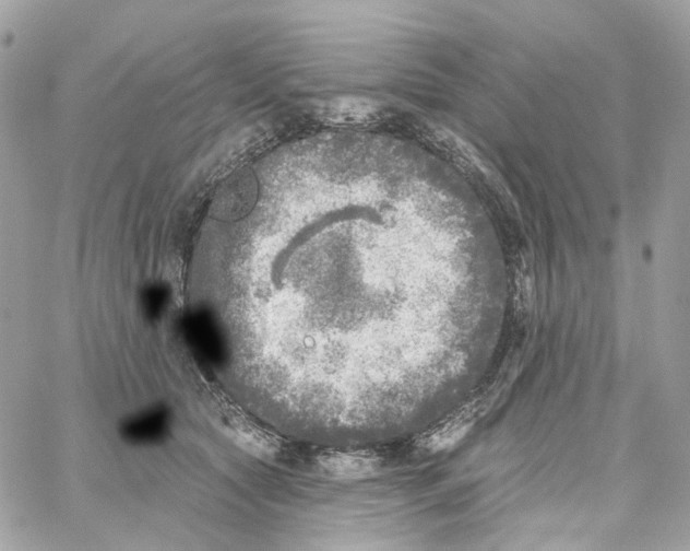 X0000059040561200511041639