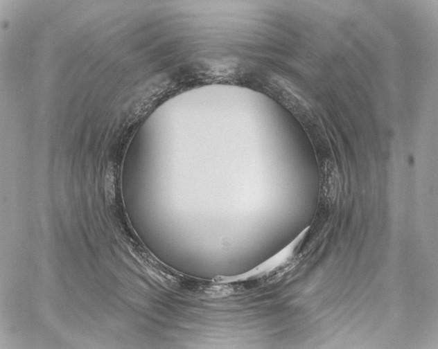 X0000059040562200511041639