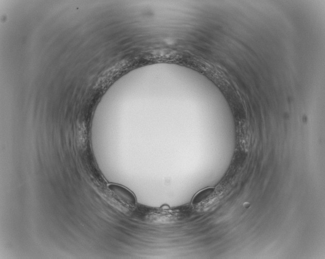 X0000059040563200511041639