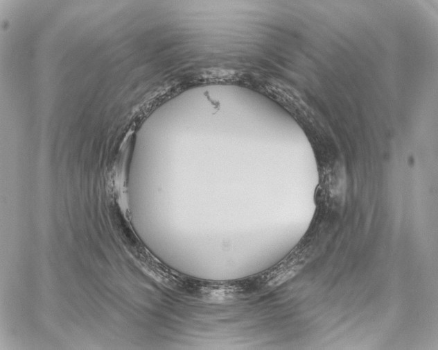 X0000059040564200511041639