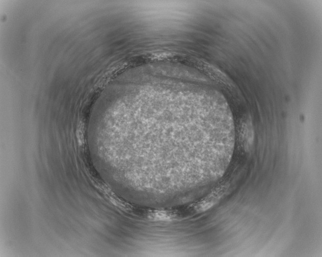 X0000059040565200511041639