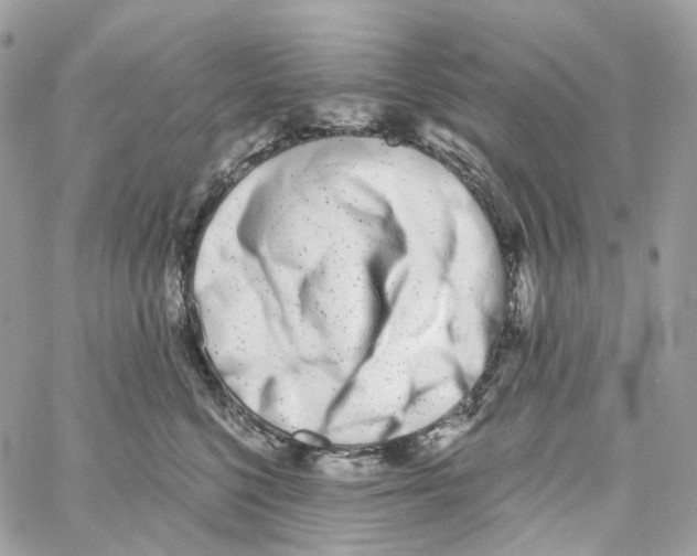 X0000059040568200511041639