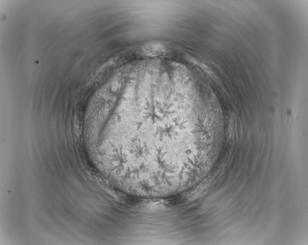 X0000059040569200511041639