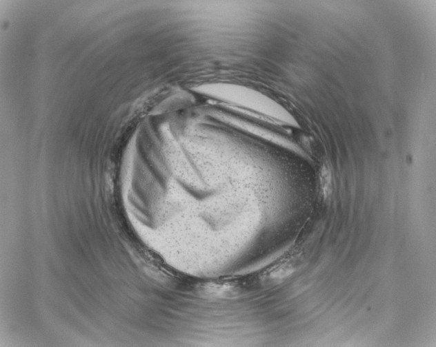 X0000059040570200511041640