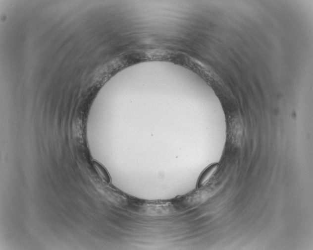 X0000059040571200511041640