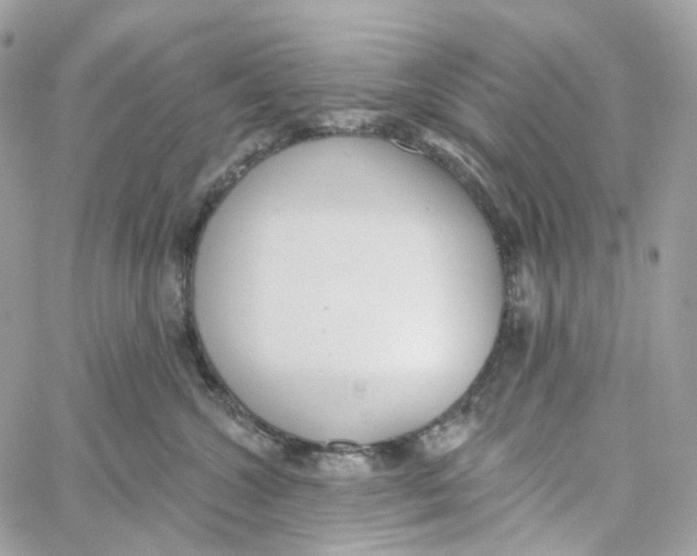 X0000059040572200511041640