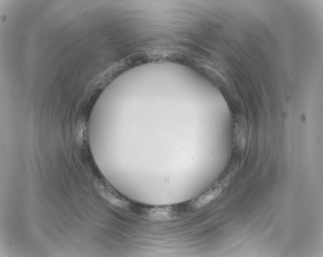 X0000059040574200511041640