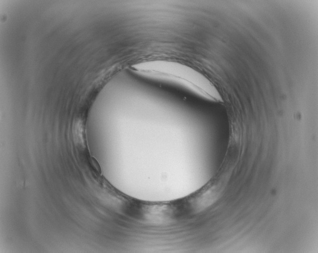 X0000059040575200511041640