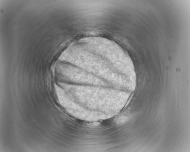 X0000059040576200511041640