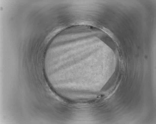 X0000059040577200511041639