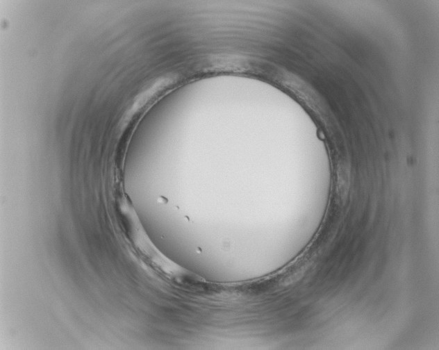 X0000059040578200511041639