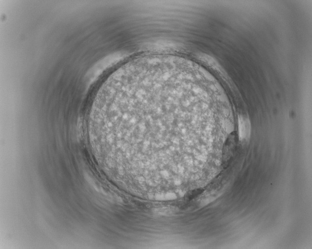 X0000059040579200511041639