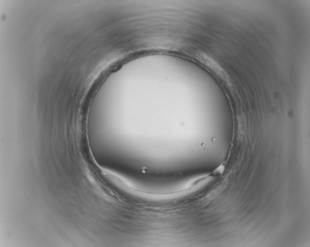 X0000059040580200511041639