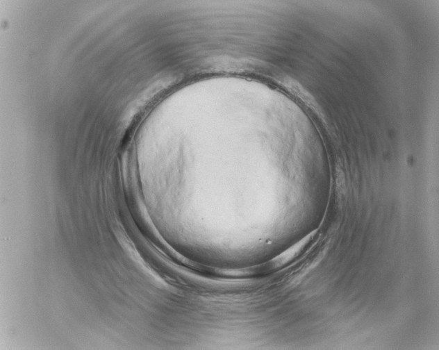 X0000059040581200511041639