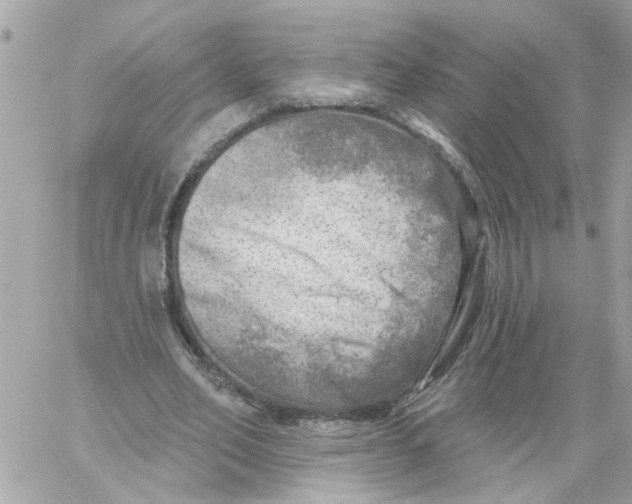 X0000059040582200511041639