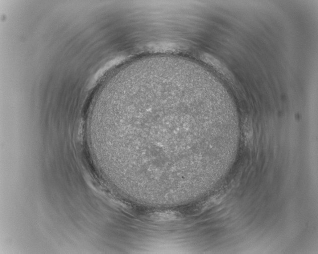 X0000059040583200511041639