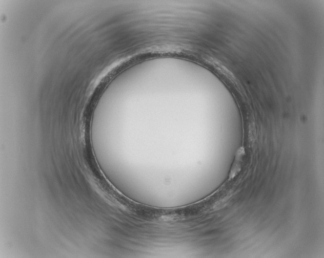 X0000059040584200511041639