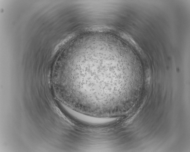 X0000059040585200511041639