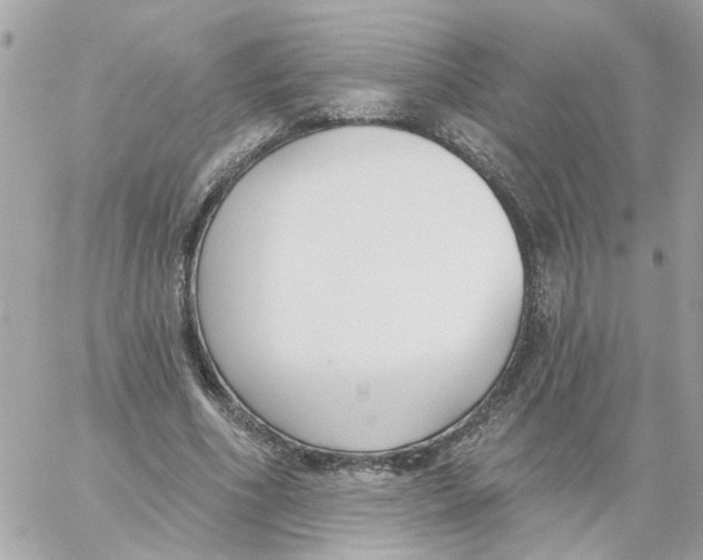 X0000059040586200511041639